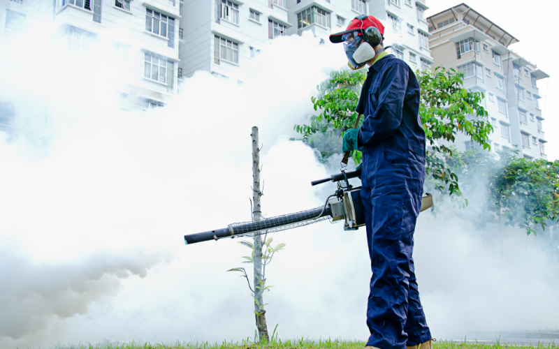 Termipest Limited - Pest Control Services in Kenya