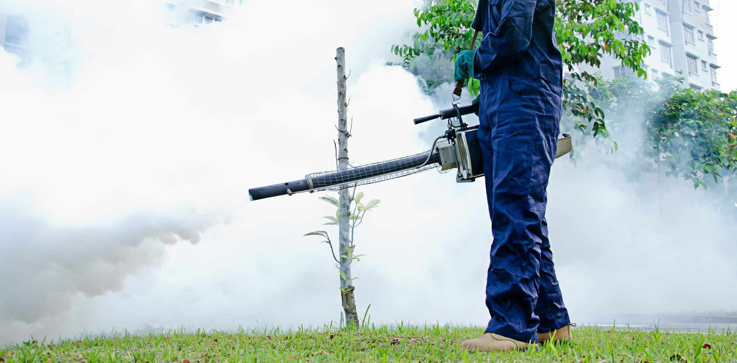 Termipest Limited - Fumigation services in Kenya